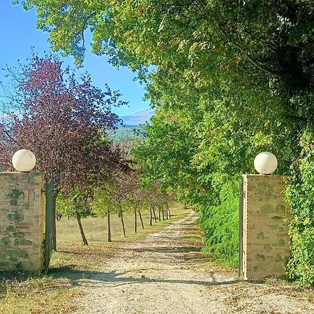 Villa Il Rigogolo - Private Pool - 10 Guests - Panoramic Marche Hills