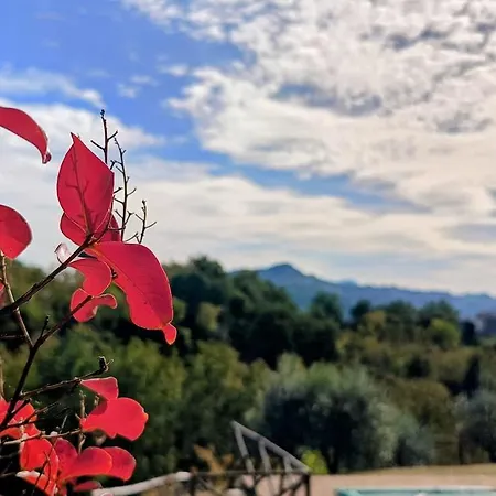 Il Rigogolo - Private Pool - 10 Guests - Panoramic Marche Hills Villa