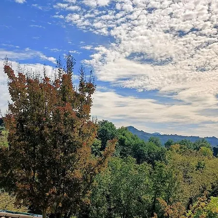 Il Rigogolo - Private Pool - 10 Guests - Panoramic Marche Hills Villa *
