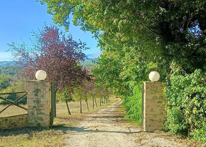 Villa Il Rigogolo - Nature, Pool And Confort Near The Center