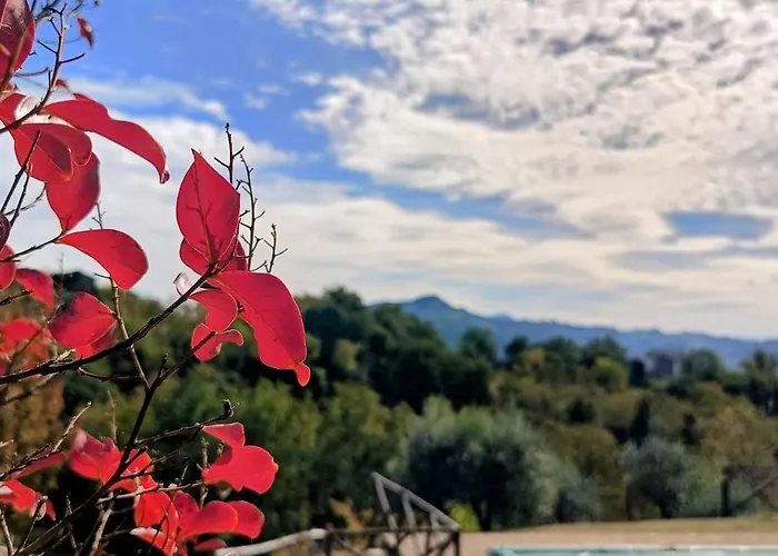 Il Rigogolo - Nature, Pool And Confort Near The Center Villa