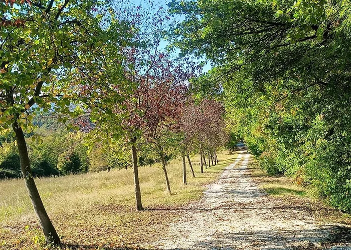 Il Rigogolo - Nature, Pool And Confort Near The Center Sant'Angelo in Pontano