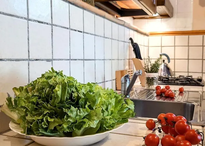 Il Rigogolo - Nature, Pool And Confort Near The Center Sant'Angelo in Pontano